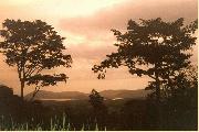 ghananature.3.jpg