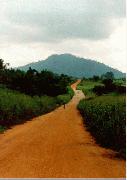 ghananature.jpg