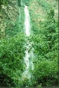 ghananature.tif1.jpg